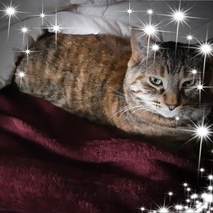 Meet your Posher, Elayne